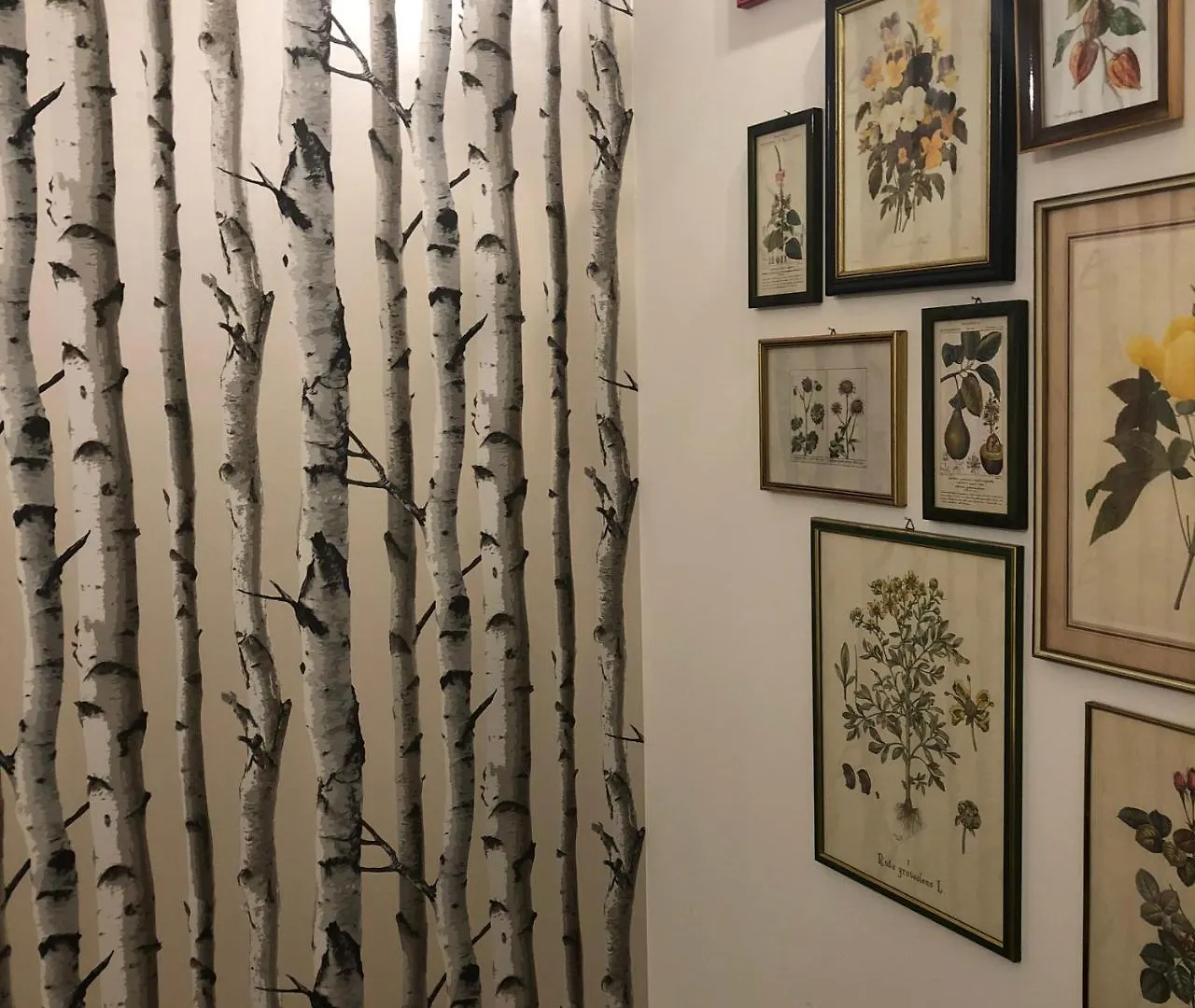 L'8 Boutique Concept Apartments Bologna Italië